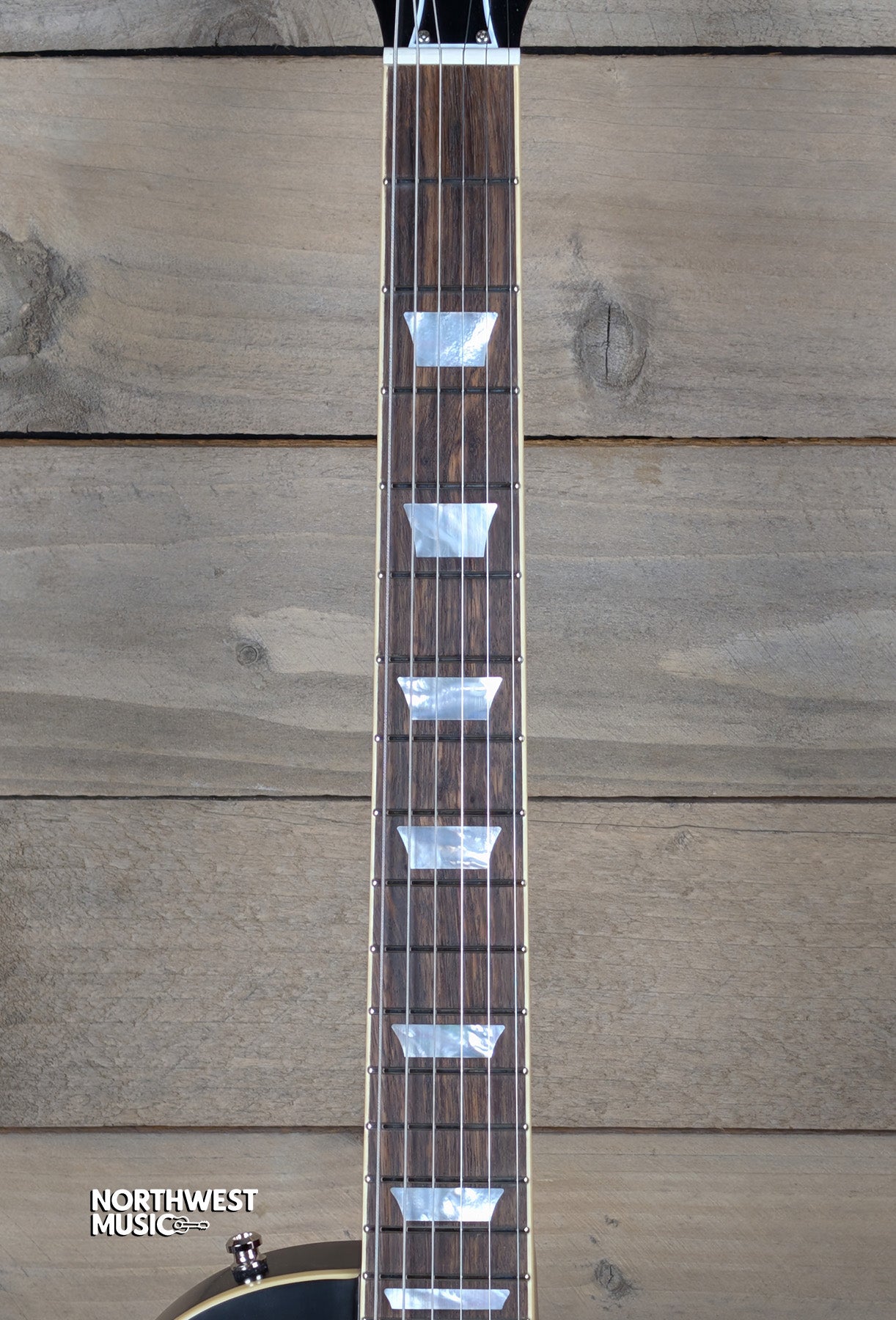 Epiphone IBGC Les Paul Standard 1959 Washed Bourbon Burst