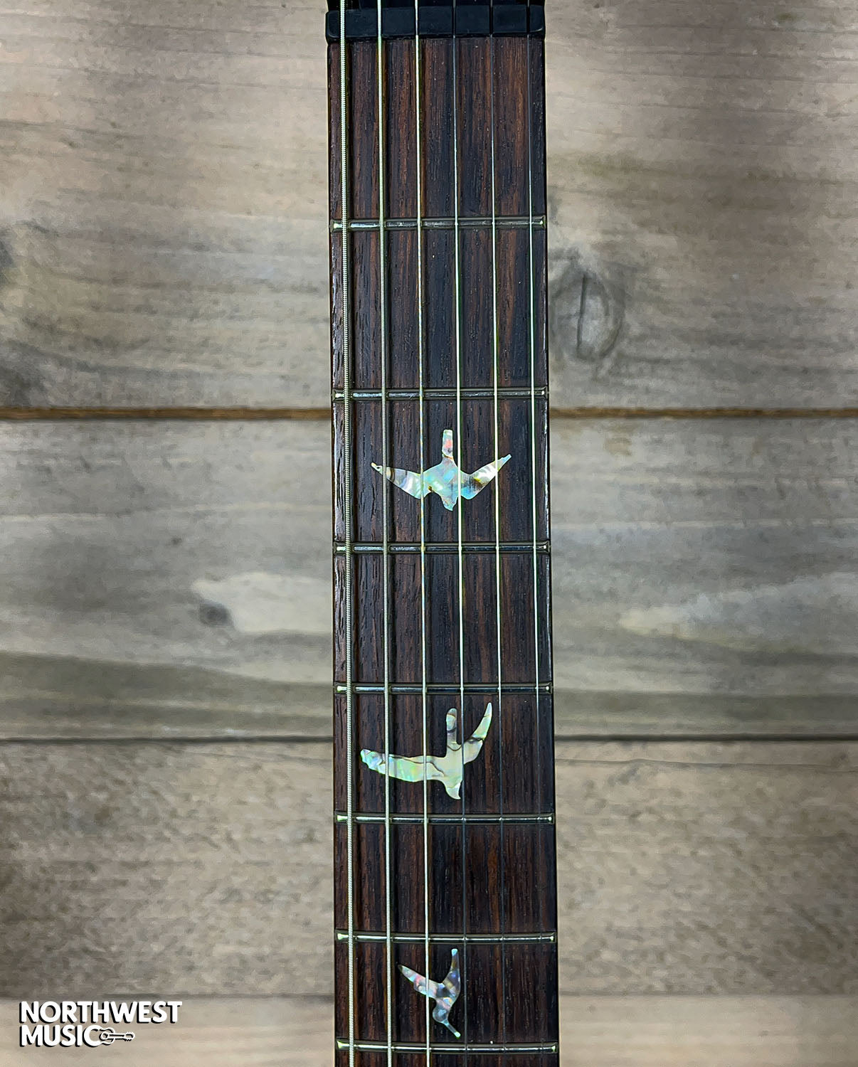 Paul Reed Smith Hollowbody I Whale Blue